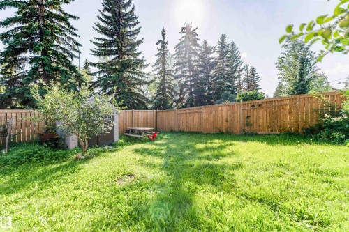 Expansive yard featuring a wooden privacy fence, mature evergreen trees, and a garden shed - 4609 38A Avenue Nw, Edmonton, AB - Outdoor