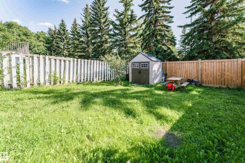 Expansive backyard featuring a storage shed, white picket fencing, and wood panel fencing - 4609 38A Avenue Nw, Edmonton, AB - Outdoor