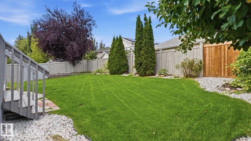 11568 15 Avenue Nw, Edmonton, AB - Outdoor With Backyard