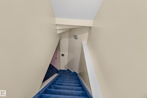 Blue carpeted staircase with a white handrail - 3755 20 Street Nw, Edmonton, AB - Indoor Photo Showing Other Room