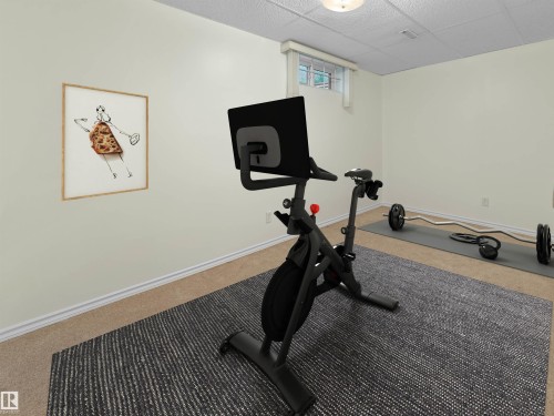 14719 62 Street Nw, Edmonton, AB - Indoor Photo Showing Gym Room