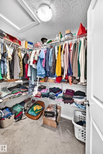 Walk-in closet with carpeted flooring, white wire shelving, and overhead flush-mount lighting - 1929 24 Street Nw, Edmonton, AB - Indoor With Storage