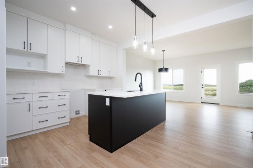 6255 29 Avenue Sw, Edmonton, AB - Indoor Photo Showing Kitchen
