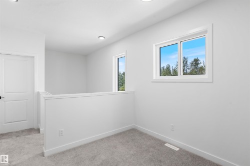 1563 211 Street Nw, Edmonton, AB - Indoor Photo Showing Other Room