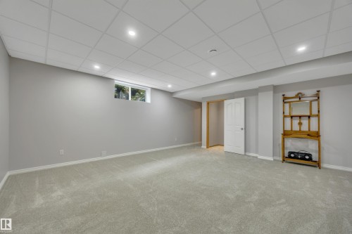 341 Burton Road Nw, Edmonton, AB - Indoor Photo Showing Basement