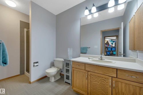 341 Burton Road Nw, Edmonton, AB - Indoor Photo Showing Bathroom