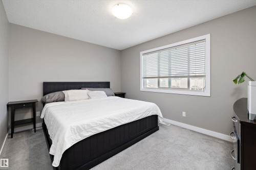 8412 24 Avenue Sw, Edmonton, AB - Indoor Photo Showing Bedroom