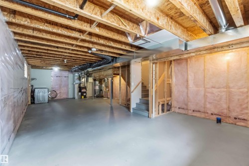 21839 99 Avenue Nw, Edmonton, AB - Indoor Photo Showing Basement