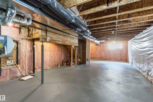 21839 99 Avenue Nw, Edmonton, AB - Indoor Photo Showing Basement