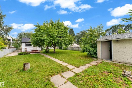 Expansive backyard featuring a central mature tree, a concrete paver pathway, and a detached outbuilding with a single entrance - 9416 153 Street Nw, Edmonton, AB - Outdoor