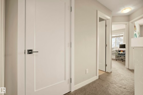 Carpeted hallway with painted walls and flat panel doors featuring dark hardware - 4013 Blackbird Link Nw, Edmonton, AB - Indoor Photo Showing Other Room