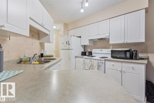 #202 12110 119 Av Nw, Edmonton, AB - Indoor Photo Showing Kitchen With Double Sink