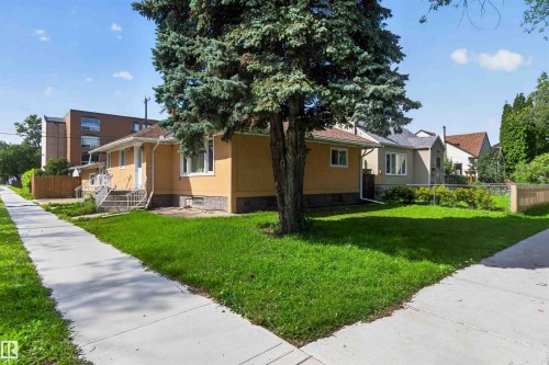 Mature tree, concrete sidewalk, stucco exterior, pitched roof, fenced perimeter - 9402 117 Avenue Nw, Edmonton, AB - Outdoor
