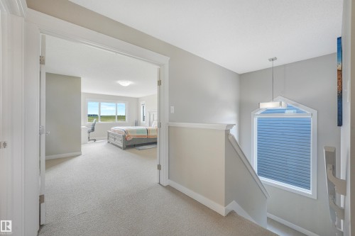 Carpeted hallway with painted walls, leading to a room with multiple windows - 3359 13 Avenue Nw, Edmonton, AB 