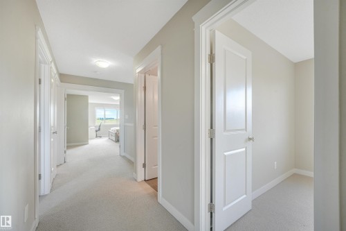 Light gray wall paint, neutral carpeting, white interior doors, flush mount ceiling lighting, and crisp white trimwork - 3359 13 Avenue Nw, Edmonton, AB 