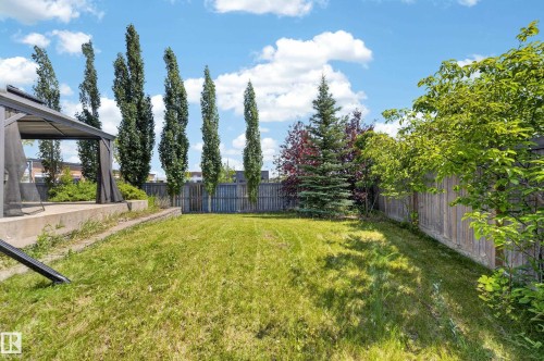 7103 168 Avenue Nw, Edmonton, AB - Outdoor