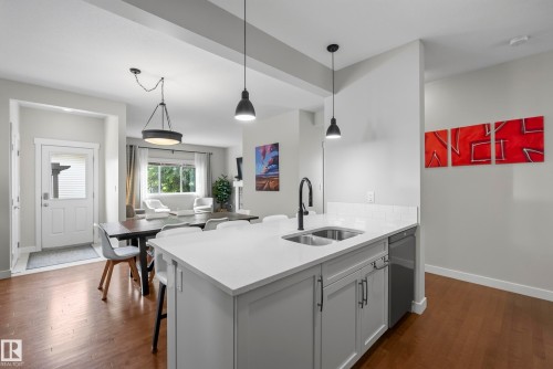 21711 99 Avenue Nw, Edmonton, AB - Indoor Photo Showing Kitchen With Double Sink