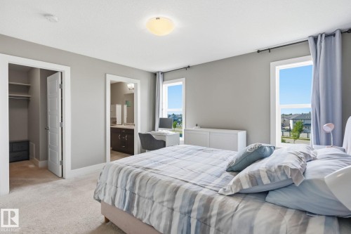 Plush carpet flooring, neutral painted walls, two windows, recessed closet with shelving, and an en-suite bathroom with a dark wood vanity - 944 Morris Way, Leduc, AB - Indoor Photo Showing Bedroom