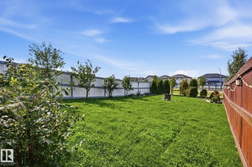 Expansive grassy yard area with mature perimeter landscaping - 944 Morris Way, Leduc, AB - Outdoor
