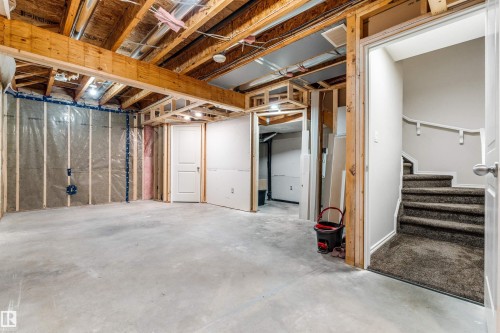 22107 88 Avenue Nw, Edmonton, AB - Indoor Photo Showing Basement