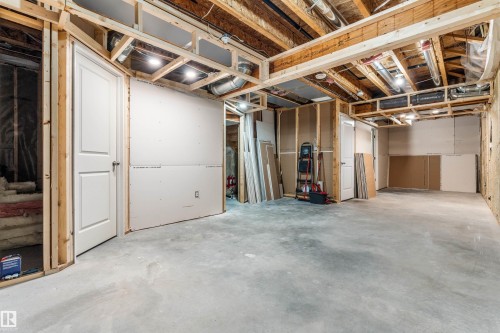 22107 88 Avenue Nw, Edmonton, AB - Indoor Photo Showing Basement