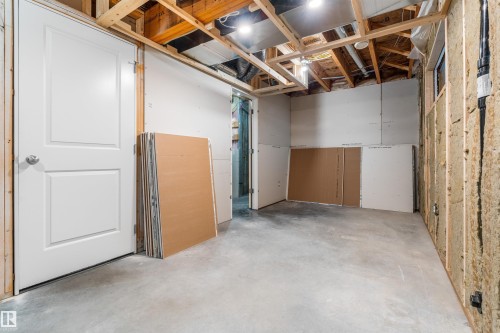 22107 88 Avenue Nw, Edmonton, AB - Indoor Photo Showing Basement