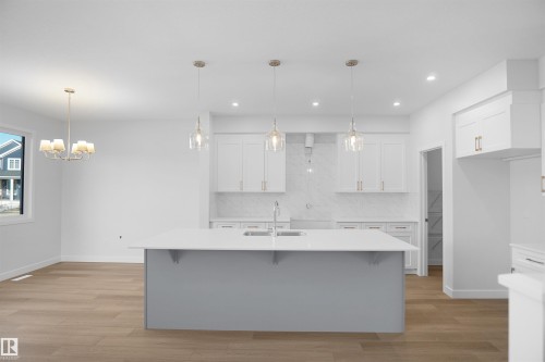 22940 82 Avenue Nw, Edmonton, AB - Indoor Photo Showing Kitchen With Upgraded Kitchen