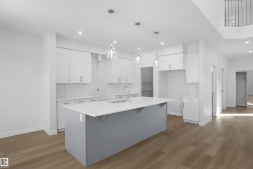 22940 82 Avenue Nw, Edmonton, AB - Indoor Photo Showing Kitchen With Upgraded Kitchen
