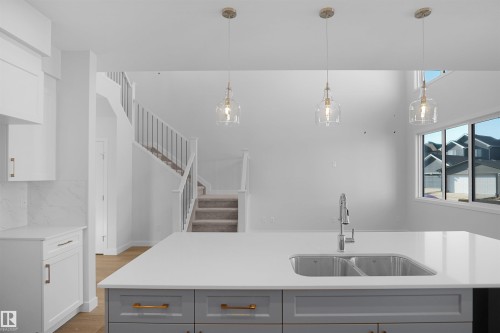 22940 82 Avenue Nw, Edmonton, AB - Indoor Photo Showing Kitchen With Double Sink