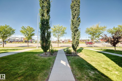 Paved walkway flanked by mature columnar trees and green lawn - #75 2803 James Mowatt Tr Sw, Edmonton, AB 