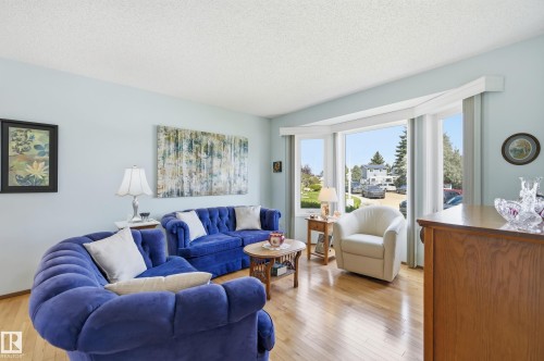 365 Kline Crescent Nw, Edmonton, AB - Indoor Photo Showing Living Room