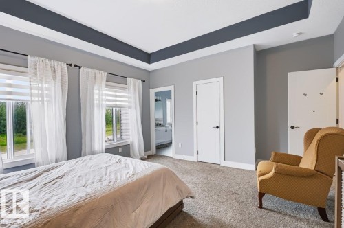 Tray ceiling with accent paint, neutral carpeting, multiple windows with blinds, and white trim throughout - 527 Merlin Landing Nw, Edmonton, AB - Indoor Photo Showing Bedroom