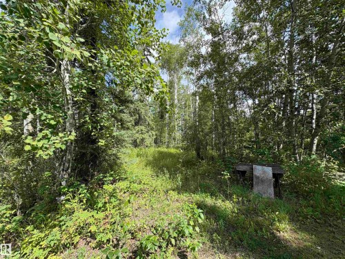 19302 Twp Rd 631B, Rural Thorhild County, AB - Outdoor