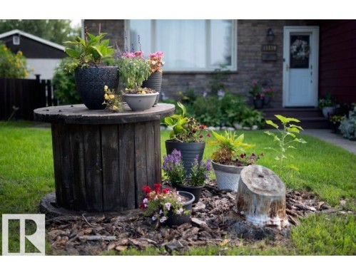 Manicured lawn with a decorative spool accent and various potted plants - 11119 31St Nw Nw, Edmonton, AB - Outdoor