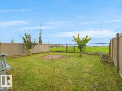 Expansive grassy yard with a privacy fence, chain link fencing, a raised garden bed, and two mature trees - 3010 17A Ave Nw, Edmonton, AB - Outdoor
