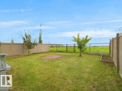 Expansive grassy yard with a privacy fence, chain link fencing, a raised garden bed, and two mature trees - 