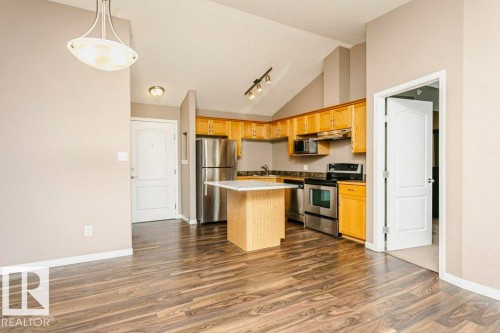 #411 3425 19 St Nw, Edmonton, AB - Indoor Photo Showing Kitchen With Stainless Steel Kitchen