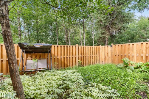 31 Royal Road Nw, Edmonton, AB - Outdoor