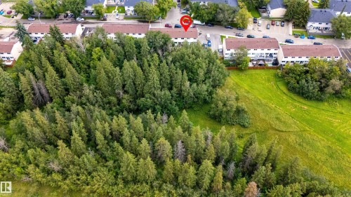 31 Royal Road Nw, Edmonton, AB - Outdoor With View