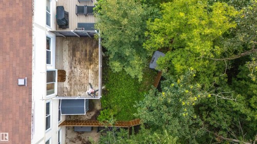 31 Royal Road Nw, Edmonton, AB - Outdoor