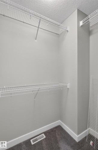 Wire shelving system, textured ceiling, gray wall paint, and gray carpet flooring - 6008 South Terwillegar Boulevard Nw, Edmonton, AB - Indoor With Storage