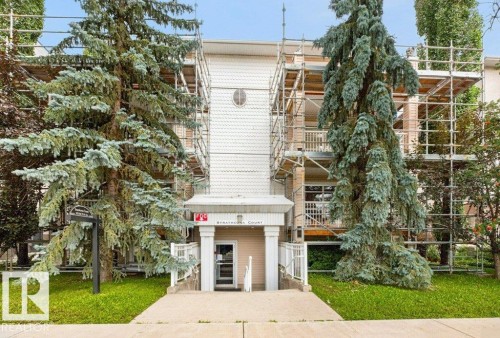 Building entrance with prominent signage, framed by mature evergreen trees - #201 10528 77 Av Nw, Edmonton, AB - Outdoor