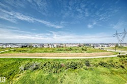 Expansive green space with walking path and residential homes in the background - 