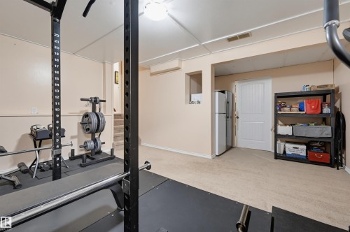 8316 189A Street Nw, Edmonton, AB - Indoor Photo Showing Gym Room