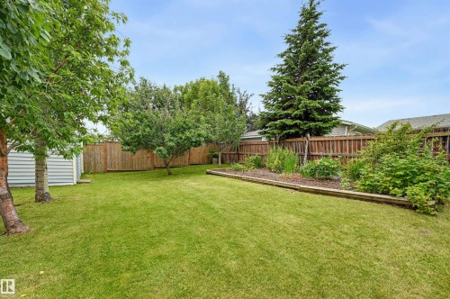 8316 189A Street Nw, Edmonton, AB - Outdoor With Backyard