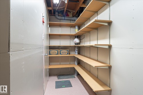 241 Greenoch Crescent Nw, Edmonton, AB - Indoor Photo Showing Garage
