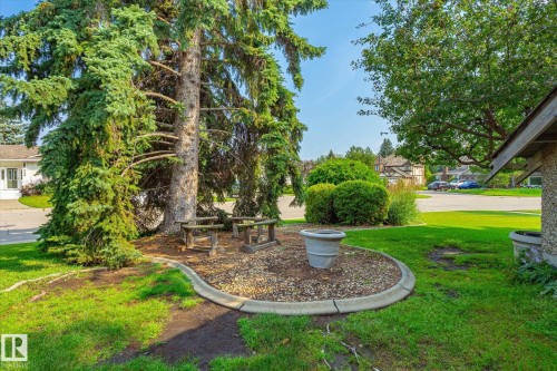 241 Greenoch Crescent Nw, Edmonton, AB - Outdoor