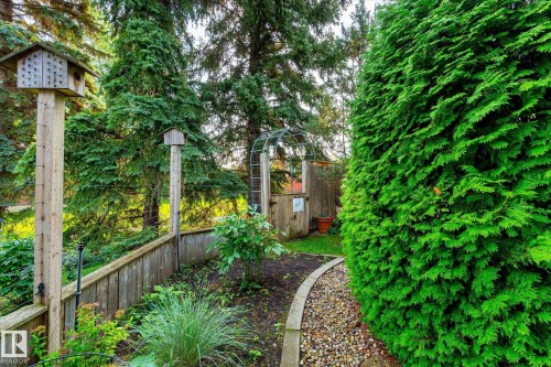 241 Greenoch Crescent Nw, Edmonton, AB - Outdoor