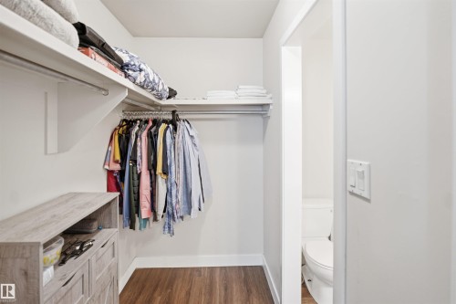 Walk-in closet with multiple shelving units and wood-finish flooring - 3515 20 Ave Nw, Edmonton, AB - Indoor With Storage