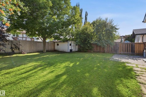 Expansive backyard featuring a large lawn, mature trees, a storage shed, and durable wood fencing - 3515 20 Ave Nw, Edmonton, AB - Outdoor With Backyard